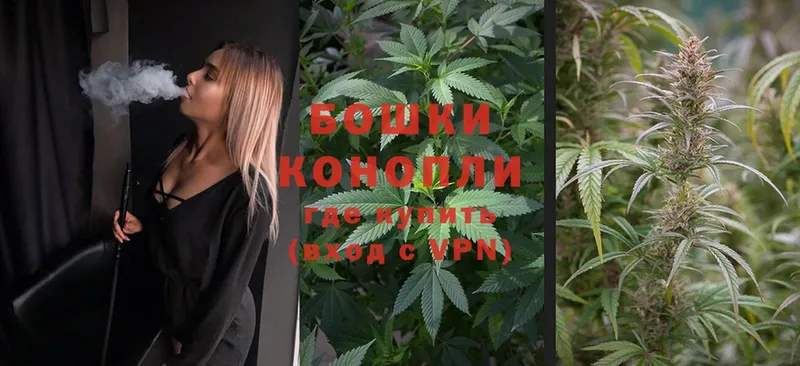 Бошки марихуана SATIVA & INDICA  Разумное 